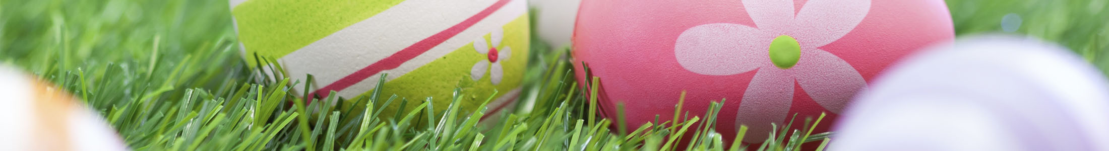 Easter Flowers and Gifts