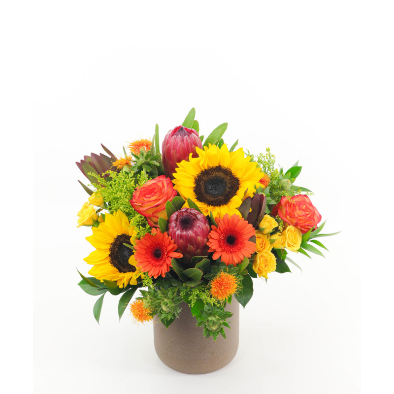 GOLDEN FIELDS - Same Day Delivery