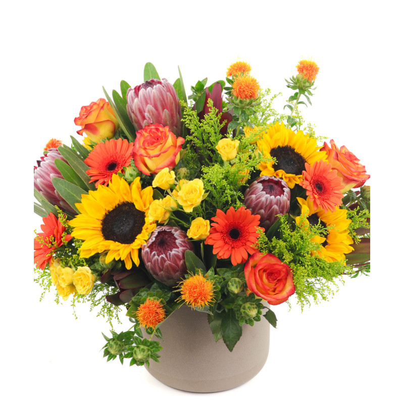 GOLDEN FIELDS - Same Day Delivery