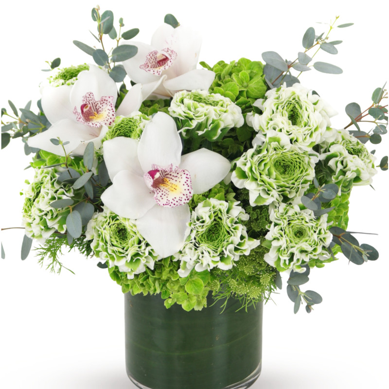 FIELDS OF RANUNCULUS - Same Day Delivery