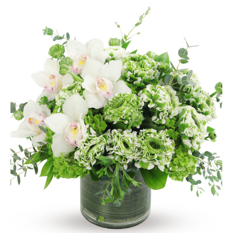 FIELDS OF RANUNCULUS - Same Day Delivery