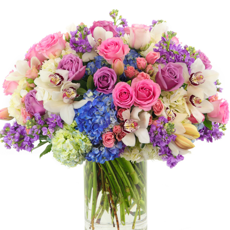 GARDEN BEAUTY - Same Day Delivery