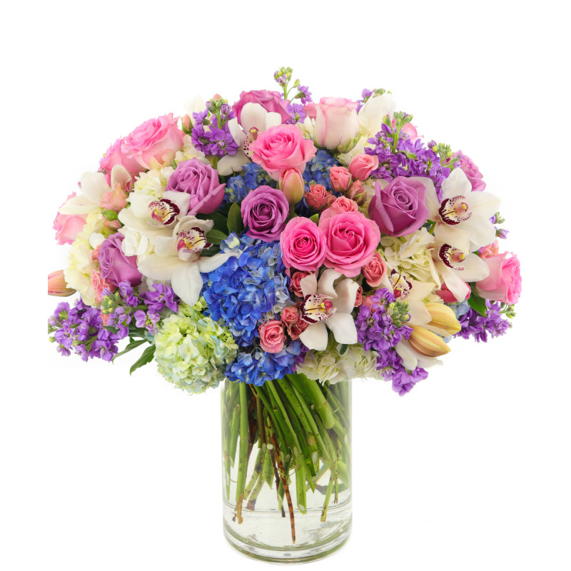 GARDEN BEAUTY - Same Day Delivery