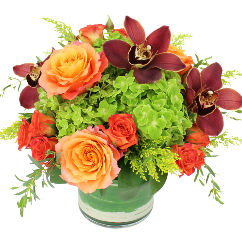 HARVEST MOON - Same Day Delivery