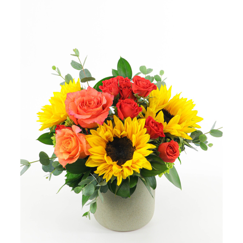 MR SUNSHINE - Same Day Delivery