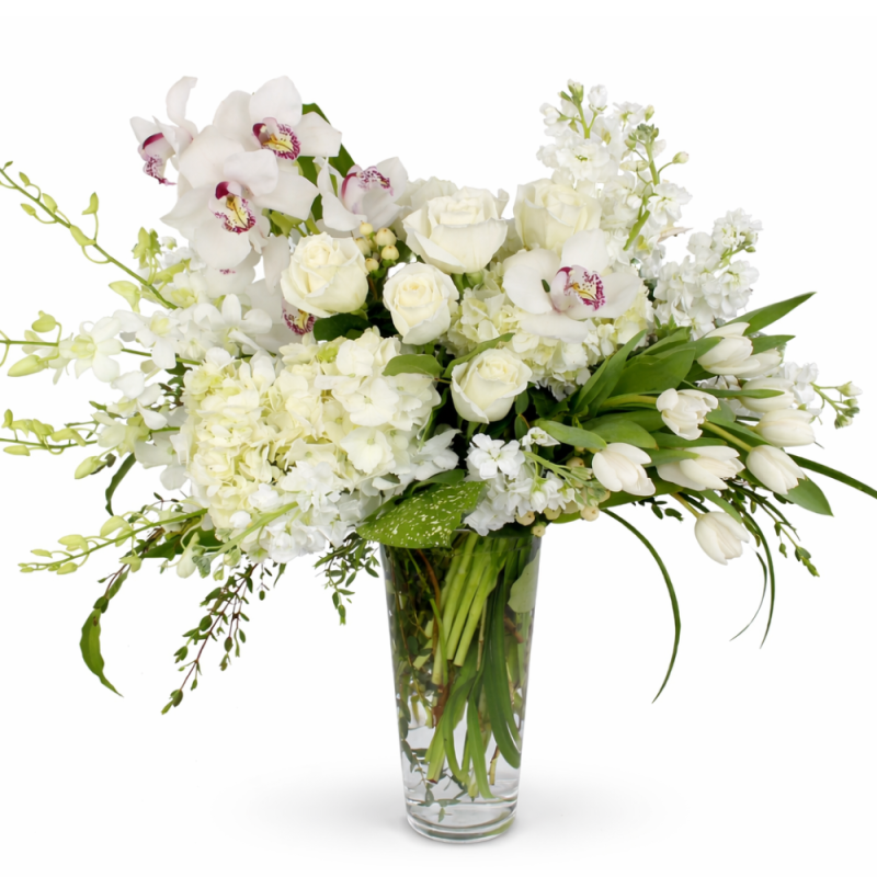 IVORY ELEGANCE - Same Day Delivery