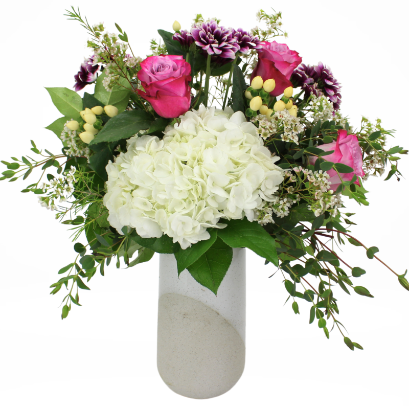 LAVENDER HAZE - Same Day Delivery