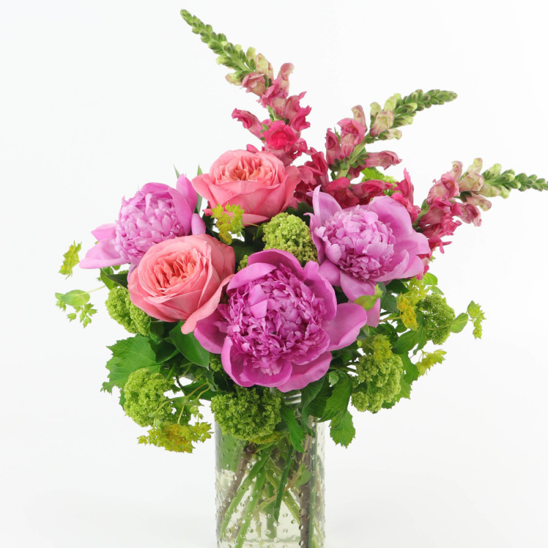 PEONY DELIGHT - Same Day Delivery