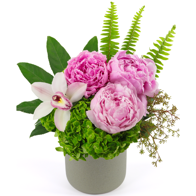 PETITE PEONY - Same Day Delivery