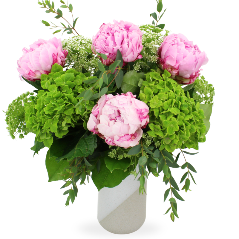 PERFECT PEONY - Same Day Delivery