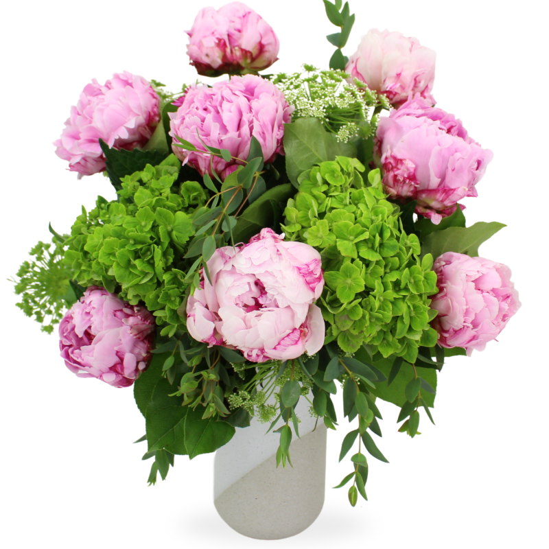 PERFECT PEONY - Same Day Delivery