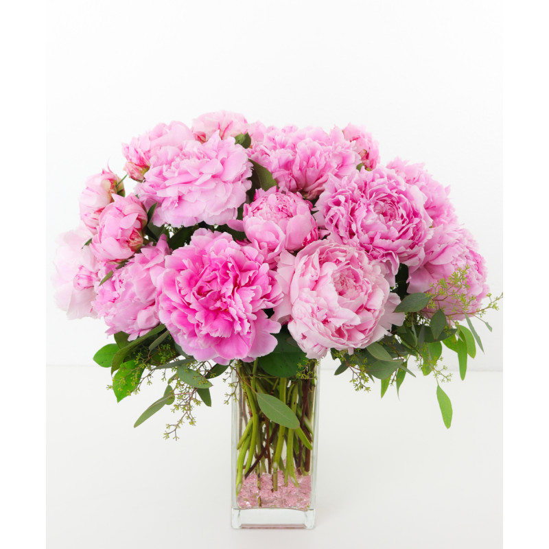 PERFECT PEONY - Same Day Delivery