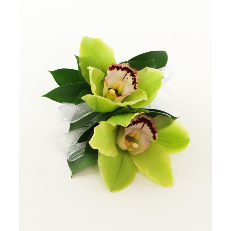 Cymbidium Orchid Wearables - Same Day Delivery