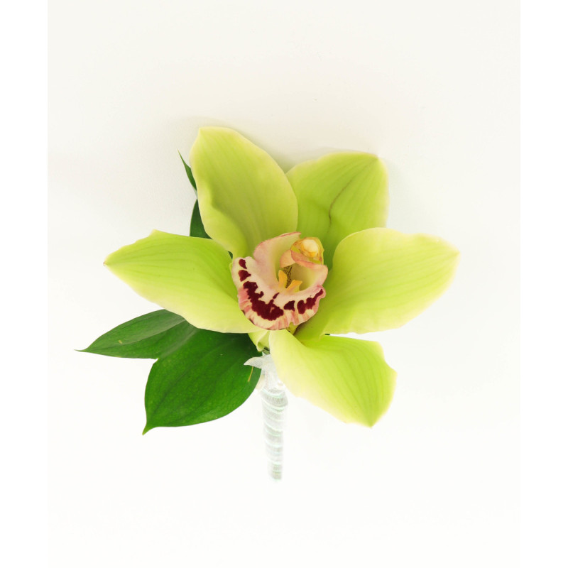 Cymbidium Orchid Wearables - Same Day Delivery