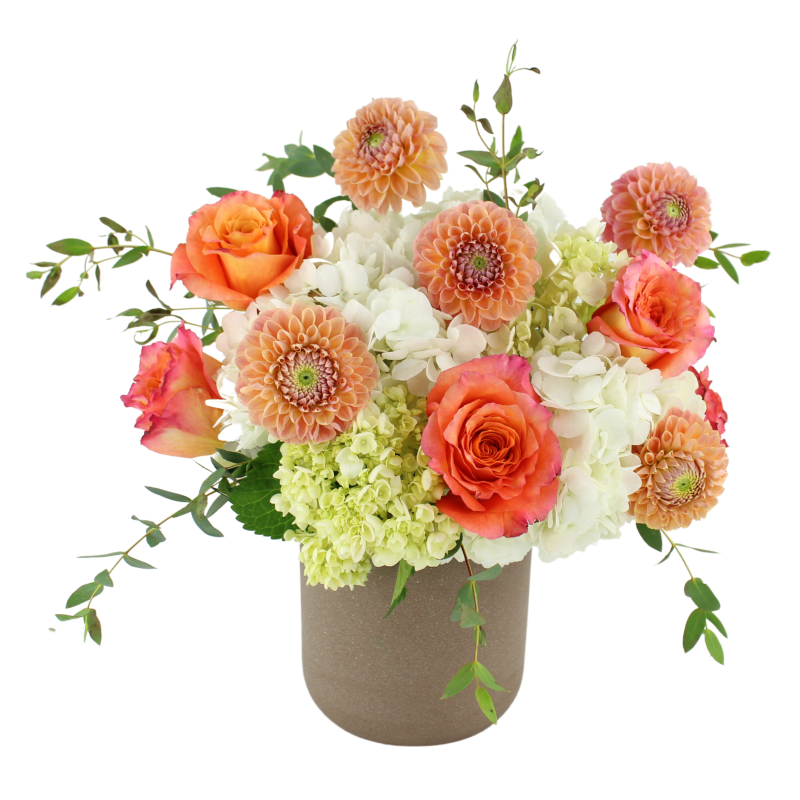 FREE FALLIN - Same Day Delivery