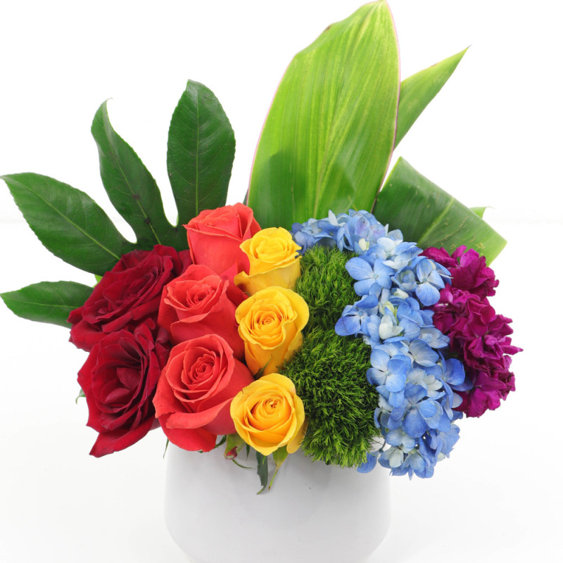 IN RAINBOWS - Same Day Delivery