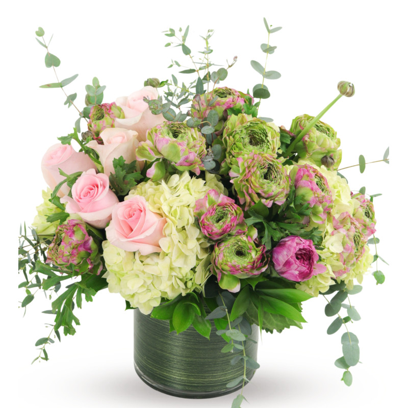 RANUNCULUS GARDENS - Same Day Delivery