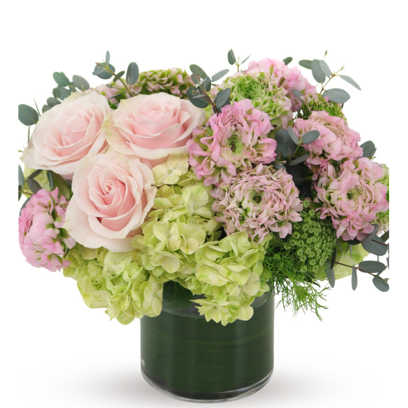 RANUNCULUS GARDENS - Same Day Delivery