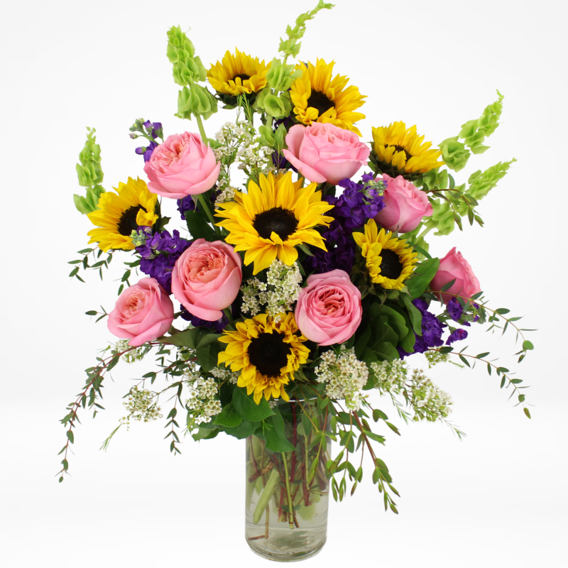 SONGBIRD - Same Day Delivery