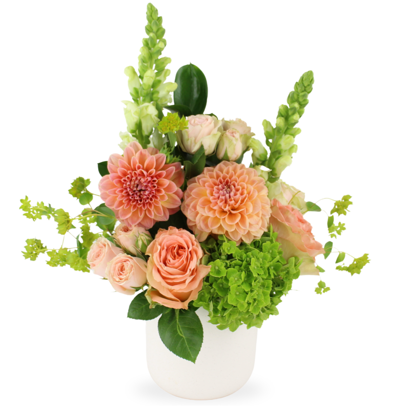 AUTUMN SPIRIT - Same Day Delivery