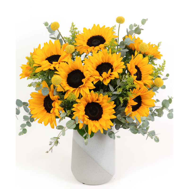 SUNNY DAZE - Same Day Delivery