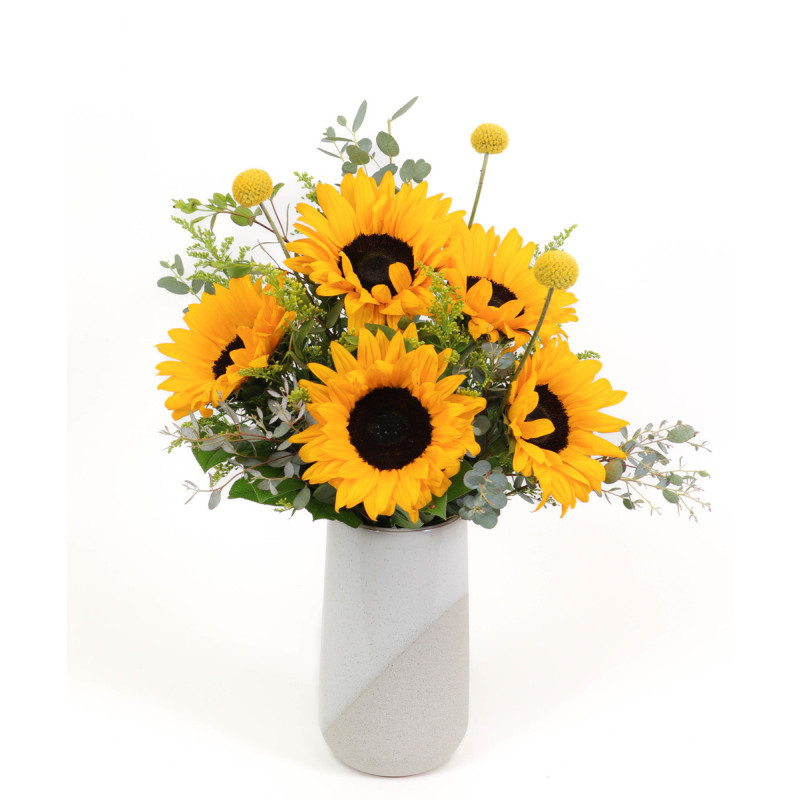 SUNNY DAZE - Same Day Delivery