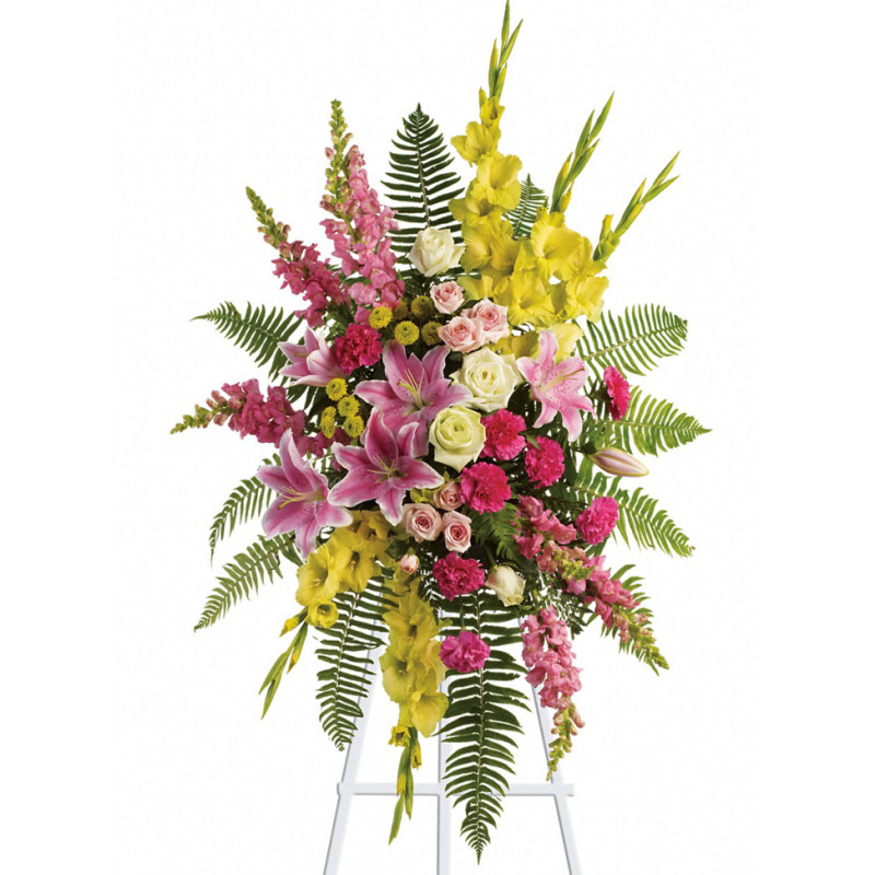 Rays of Light Spray - Same Day Delivery
