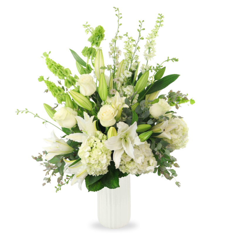 WHITE LIGHT - Same Day Delivery