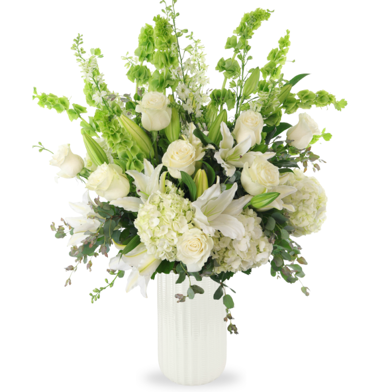 WHITE LIGHT - Same Day Delivery