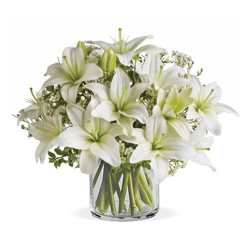SUPER WHITE LILIES - Same Day Delivery