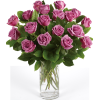 LAVENDER ROSES BY DOTTIE'S FLOWERS: 24 PREMIUM ROSES