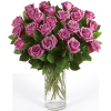 LAVENDER ROSES BY DOTTIE'S FLOWERS: 36 PREMIUM ROSES