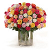 WOW! 100 ROSES ARRANGED: 100 Mixed Color Premium Roses