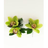 Cymbidium Orchid Wearables: Cymbidium Orchid Boutonniere & Corsage Set