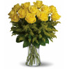 Golden Days Yellow Rose Bouquet: 12 Yellow Roses & Golden Aster