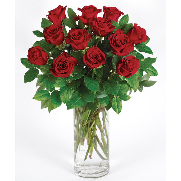RED LONG STEM ROSES BY DOTTIE'S