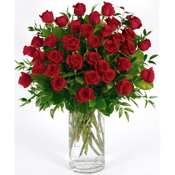 36 Premium Red Roses