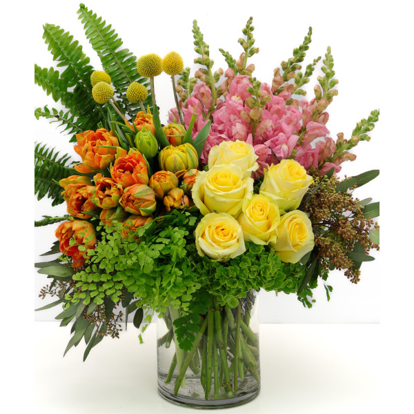 SAN FERNANDO SUNSETS